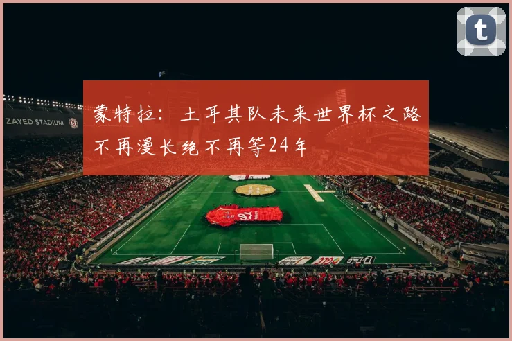 蒙特拉：土耳其队未来世界杯之路不再漫长绝不再等24年
