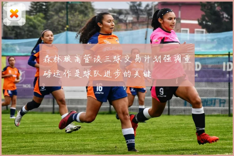森林狼高管谈三球交易计划强调重磅运作是球队进步的关键