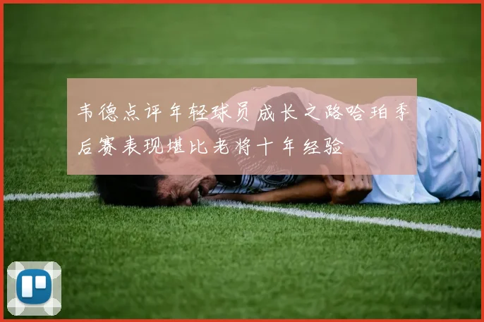 韦德点评年轻球员成长之路哈珀季后赛表现堪比老将十年经验