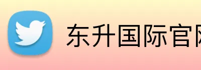 东升国际官网 Logo